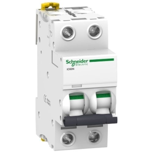 Interruttore Magnetotermico iC60N 2P C 25A 6000A - SCHNEIDER A9F79225