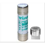 Fusibile 40A P GG - WIMEX 5402340