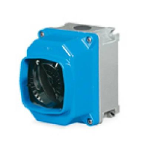 CAM Interruttore da parete in contenitore termoindurente 4P 16A sch 3 2x M25 IP67 - PALAZZOLI 292103