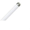 Set Lampada Neon Fluorescente Trimax 58W G13 Luce Fredda 6500K (15 PEZZI) - BEGHELLI 15PZ-52111