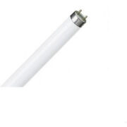 Set Lampada Neon Fluorescente Trimax 58W G13 Luce Fredda 6500K (15 PEZZI) - BEGHELLI 15PZ-52111