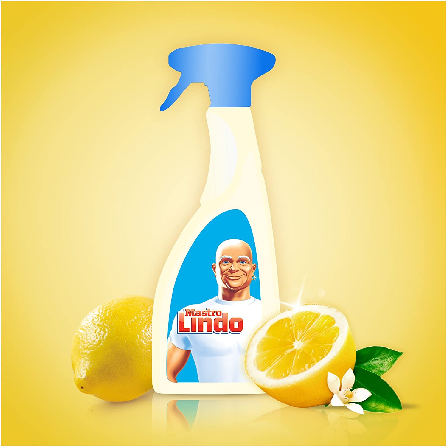 Mastro Lindo Detergente Spray Multiuso, Limone, 500 ml - CFG PG092