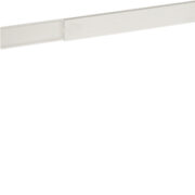 TMC 30/2x10 W, Minicanalina 2 scomparti con coperchio standard, bianco (2 ML) - BOCCHIOTTI B00617