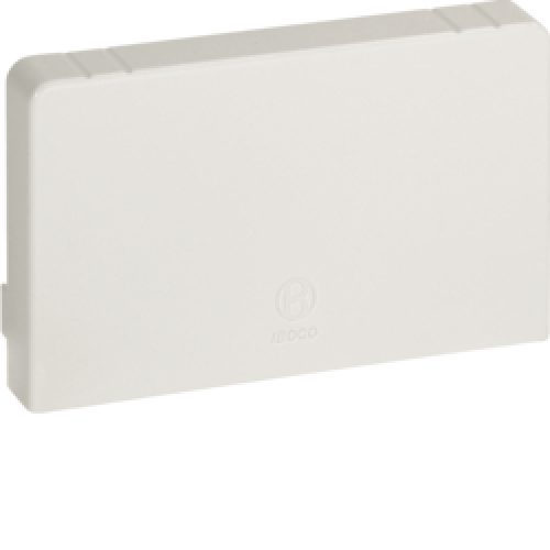 LAN 100x60 W Terminale per canali linee TA-N/TA-EN/TA-GN, bianco - BOCCHIOTTI B02252