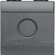 Living International Falso polo, 2 moduli, Antracite - BTICINO L4951