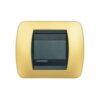 Living International Placca 2 moduli, Oro Satinato - BTICINO L4802OS