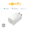 Somfy Valvola termostatica per radiatore IO - BFT 1870508