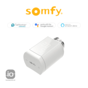 Somfy Valvola termostatica per radiatore IO - BFT 1870508