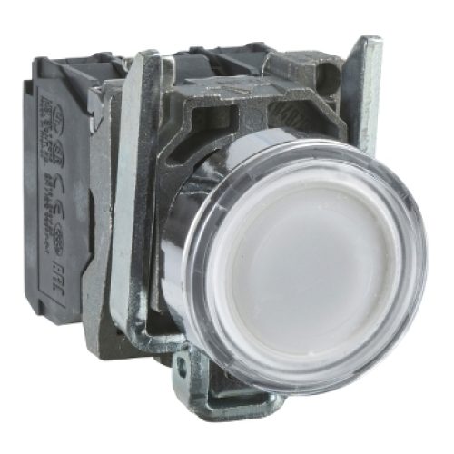 Pulsante Luminoso bianco Ø22 filoghiera ad impulso 24V 1NO+1NC - SCHNEIDER XB4BW31B5