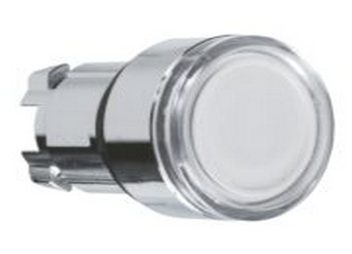 Testa pulsante luminoso Ø22 bianco - SCHNEIDER ZB4BW313