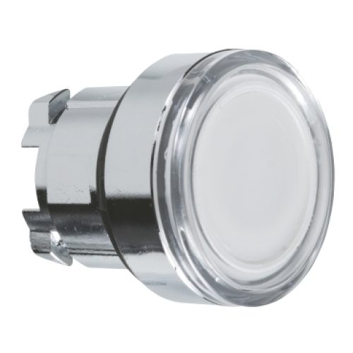 Testa pulsante luminoso Ø22 bianco - SCHNEIDER ZB4BW313