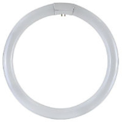 Circolina T9 G10Q 32W 6500K, Trifosfori - DURALAMP 3286T