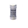 Fusibile 10,3 x 38 0,5A - WIMEX 5400100