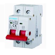 Interruttore Sezionatore Circuiti Elettrici, 2P, 230Vac, 63A, MontaggioGuida DIN - ETTROIT JX426300