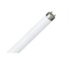 Tubo Fluorescente Trifosfori T8 G13 15W 6500K (25 PEZZI) - DURALAMP 25PZ-1586T
