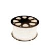 Striscia Led, 6000K, 100 MT, 12W, IP65 - ALVERLAMP LT22060