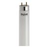 Tubo Fluorescente T8 Ecoled Std 1200Mm Led Attacco G13 18W Luce Naturale 840 - BEGHELLI 56232