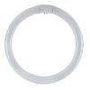 Lampada Fluorescente G10Q 22W 6500K - DURALAMP 2286T