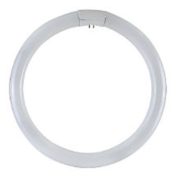 Lampada Fluorescente G10Q 22W 6500K - DURALAMP 2286T