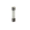 Fusibile 5x20 F 25A Rapido - WIMEX 5000026